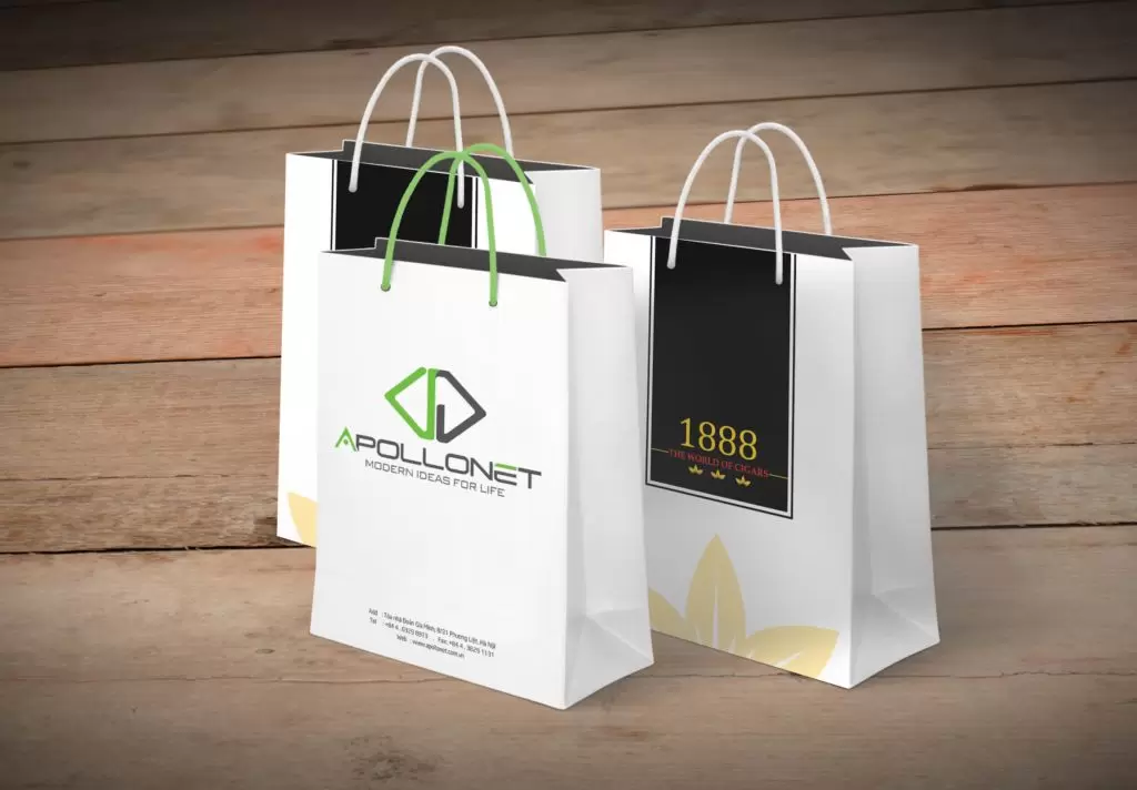 Giỏ xách giấy mẫu 4