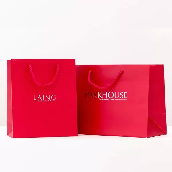 Giỏ xách giấy mẫu 3